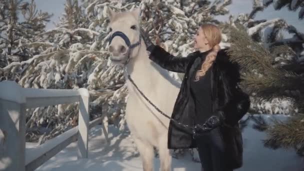 Портрет симпатичная блондинка с чистокровной белой лошадью возле забора. Молодая женщина играет со своей белой лошадью на улице. Концепция коневодства — стоковое видео