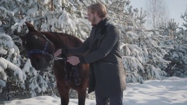 Un joven acaricia un caballo al aire libre sobre el fondo de árboles y pinos de Navidad cubiertos de nieve. El tipo conduce un caballo en un rancho campestre en invierno . — Vídeo de stock