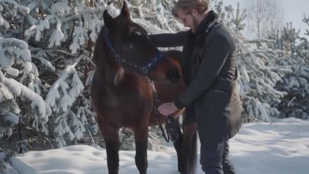 Attraktive junge Mann streichelt ein Pferd im Freien vor dem Hintergrund der schneebedeckten Weihnachtsbäume und Kiefern. der Kerl fährt bei Winterwetter ein Pferd auf einer Landranch. — Stockvideo