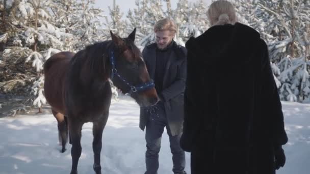 Menina bonita vem até o cara e abraça-o. Bonito jovem segurando as rédeas de cavalo em pé no fundo de pinheiros cobertos de neve em um rancho rural . — Vídeo de Stock