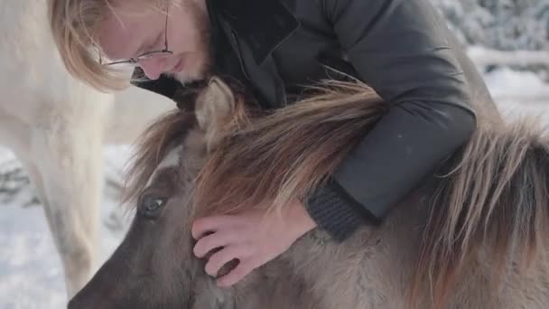 Man strokes muzzle adorable small pony at a ranch close up. Concept of horse breeding. Slow motion. — Stock Video