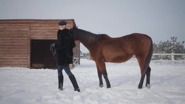 Kar kış Ranch'te güzel atı ile güzel kız yürüyor. Onun at açık havada önde gelen genç bir kadın. At üreme kavramı. Ağır çekim. — Stok video
