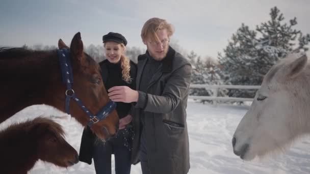 Portrait d'un jeune couple caressant des chevaux dans un ranch de campagne en hiver. Un homme et une femme marchant avec des chevaux et des poneys à l'extérieur. Mouvement lent . — Video