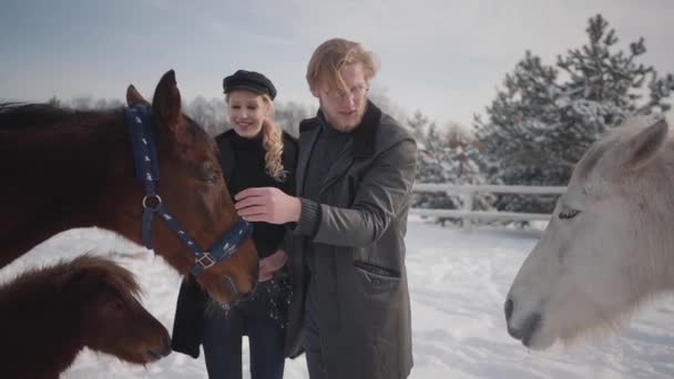 Porträt eines jungen Paares, das im Winter auf einer Ranch Pferde streichelt. ein Mann und eine Frau, die mit Pferden und Ponys im Freien spazieren gehen. Zeitlupe. — Stockvideo