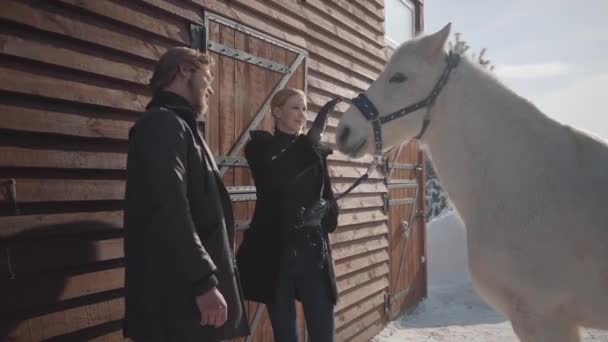 Mujer rubia y hombre alto de pie con caballo blanco en el rancho de invierno de nieve. Una chica acaricia animales. Una pareja feliz pasa tiempo al aire libre en la granja. Movimiento lento — Vídeos de Stock