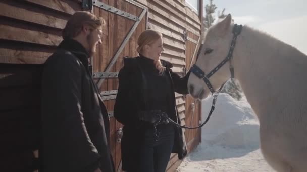 Bella donna bionda e alto uomo barbuto in piedi con cavallo bianco al ranch invernale neve. La ragazza accarezza gli animali. Coppia felice trascorrere del tempo all'aperto in fattoria. Rallentatore — Video Stock