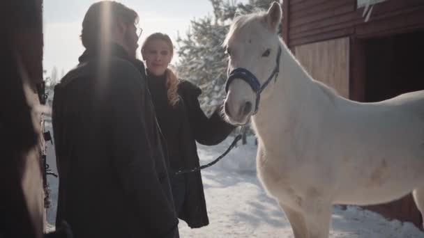 在雪冬牧场上, 一个身材麻的金发女人和长胡子的高个子男人站在白马旁边。女孩抚摸动物。幸福的夫妇花时间在户外的农场。慢动作 — 图库视频影像