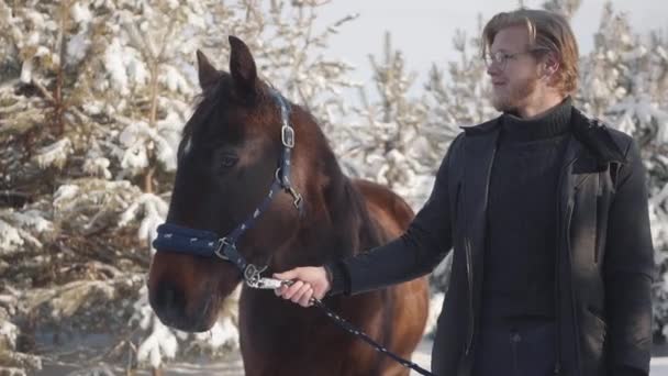 Porträt eines hübschen jungen Mannes, der die Pferdezügel hält, die vor dem Hintergrund schneebedeckter Kiefern auf einer Ranch stehen. — Stockvideo