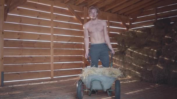 裸の胴体とメガネのひげを生やした男はサスペンダーに置きます。寒い冬の納屋に干し草を手押し車近くに立っているハンサムな男。牧場主は、ファームで動作します。スローモーション — ストック動画