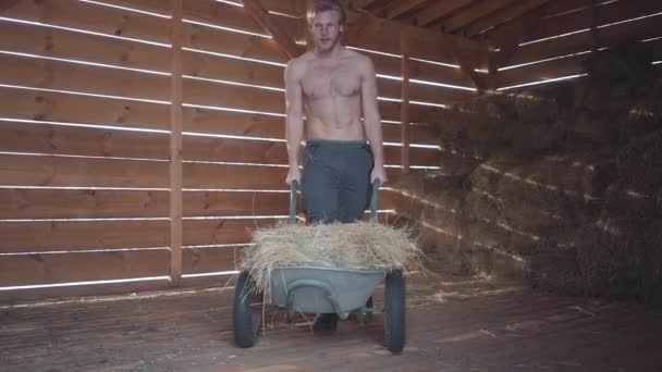 Vousatý muž v brýlích s nahou trupu nesoucí seno na vozíku. Farmář pracuje na farmě. Zpomalený pohyb — Stock video
