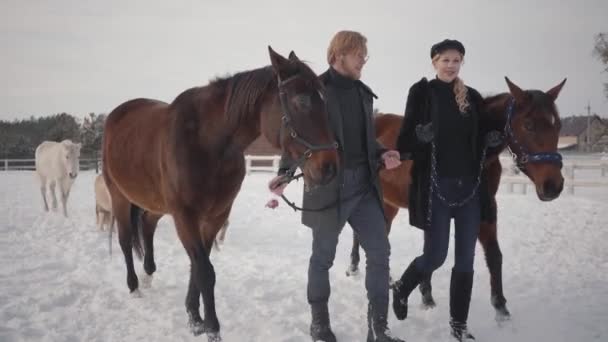 Casal que anda com cavalos ao ar livre em um rancho rural no inverno. Homens e mulheres a liderar cavalos. Cavalos e pôneis seguem o par . — Vídeo de Stock