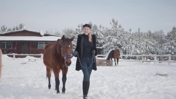 Mujer joven y bonita camina con un hermoso caballo blanco que la lleva sosteniendo un estribo sobre un rancho cubierto de nieve. Pantalla verde en movimiento. Máscara de movimiento . — Vídeo de stock