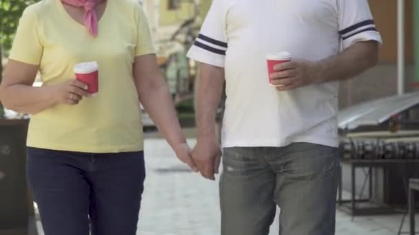 En amour couple sénior marche dans la ville — Video