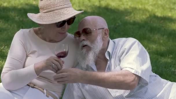 Прекрасна старша пара на пікніку в парку — стокове відео