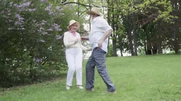 Gelukkige senior paar dansen in het park — Stockvideo