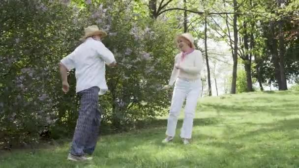 Felice in amore coppia anziana che balla nel parco estivo — Video Stock