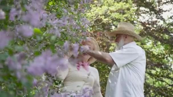 Feliz en el amor pareja de ancianos en el parque de verano — Vídeos de Stock