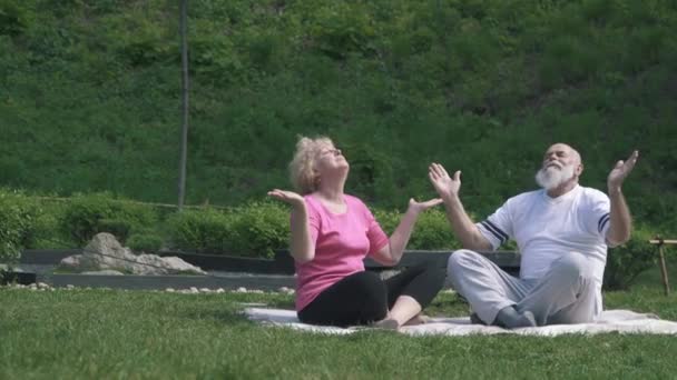 Mujer mayor y hombre mayor meditando en el parque — Vídeo de stock