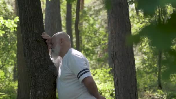 Senior mannen avkopplande och lutar på trädstam i sommar skog — Stockvideo
