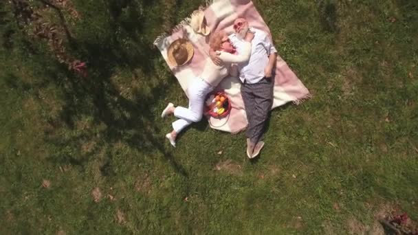 Senior paar ontspannen in het park bij de deken. Schieten vanuit de drone. — Stockvideo