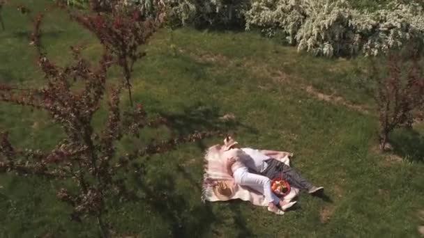 Los ancianos hacen un picnic en la manta del parque. Disparando desde el dron . — Vídeos de Stock