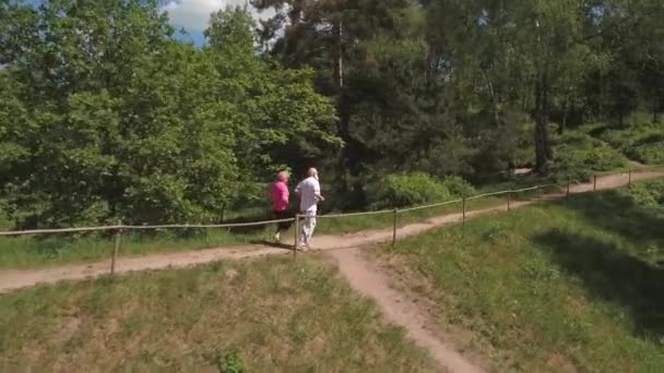 Halbwüchsiges Paar läuft im Sommerpark, Luftaufnahme — Stockvideo