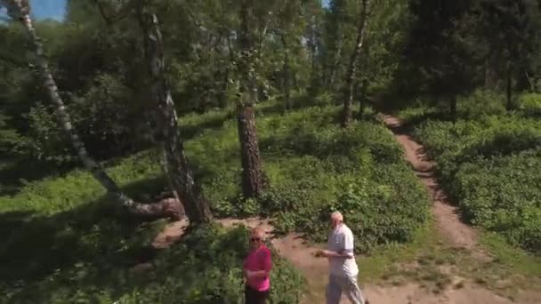 Senioren High Fiving beim Laufen im Sommerpark. Schüsse aus der Drohne. — Stockvideo