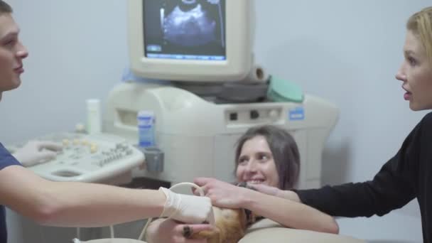 De verpleegkundige heeft de honden poten terwijl de dokter de echografie doet. Eigenaar van het dier strelen haar huisdier, kalmerende hem. Mensen glimlachen. Behandeling van dierlijk concept. Dierenverzorging bij dierenarts — Stockvideo