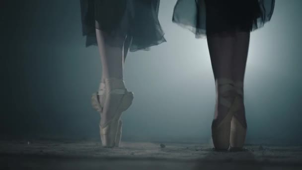 黒の背景にスポットライトでポーズに立ってポイントで女性の足。二人の女の子が同時につま先に立つ。スタジオでバレエシューズのプロのバレリーナダンス。スローモーション. — ストック動画