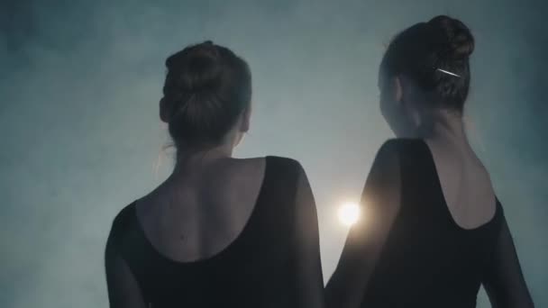 Portrait of beautiful female twins standing with their backs to the camera and sharply turning their faces and looking in the camera. Young women dancers in black dress in the foreground of spotlight — Stock Video