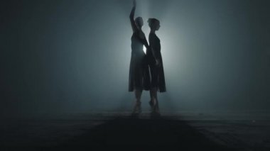 Zarif bale dansçıları klasik bale pas gösterir. İki profesyonel balerinler dans üzerinde onu Pointe Ballet shoeses içinde Spotlight üzerinde siyah arka plan içinde stüdyo.