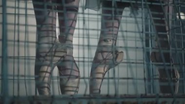 Arka planda ışık ve duman ile karanlıkta bale dansçılar ince zarif bacaklar. Bacaklar yakın yukarı Pointe shoeses genç balerinler metal çubuklar arkasında. Bale uygulaması.