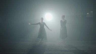 Bale dansçıları stüdyoda siyah arka planda spot klasik bale pas gösterir. Karanlıkta klasik bale iki zarif profesyonel balerinler dans unsurları.