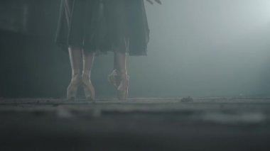 Pointe shoeses tanınmayan genç balerinler. Bale antrenmanı. Arka planda ışık ve duman ile karanlıkta bale dansçıları güzel ince zarif bacaklar.