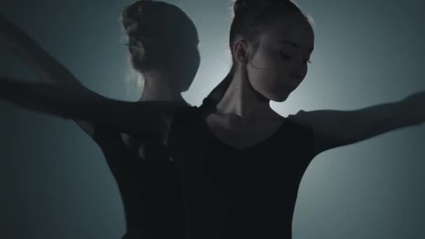 Retrato de dos elegantes bailarinas profesionales bailando en sus zapatos de ballet puntiagudos en el centro de atención sobre fondo negro en el estudio. Bailarines de ballet muestra pas de ballet clásico . — Vídeos de Stock