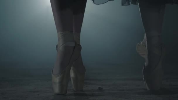 Κοντινό στα πόδια νεαρές μπαλαρίνες σε πουτόν παπούτσια. Εξάσκηση μπαλέτου. Όμορφα λεπτά χαριτωμένα πόδια χορευτές μπαλέτου στο σκοτάδι με φως και καπνό στο φόντο. — Αρχείο Βίντεο