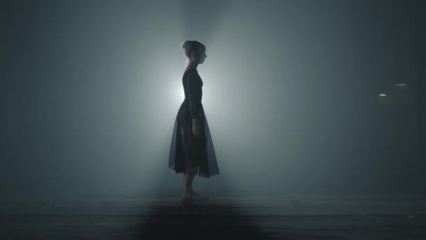 Formation diligente jeune ballerine gracieuse éléments de danse de ballet classique dans l'obscurité avec de la lumière et de la fumée sur le fond. Belle jeune ballerine dans l'obscurité. Pratique du ballet en studio . — Video