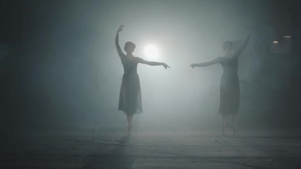 Vackra balett dansare visar klassisk balett pas i Spotlight på svart bakgrund i studion. Två graciösa professionella ballerinor dansande element av klassisk balett i mörkret. — Stockvideo