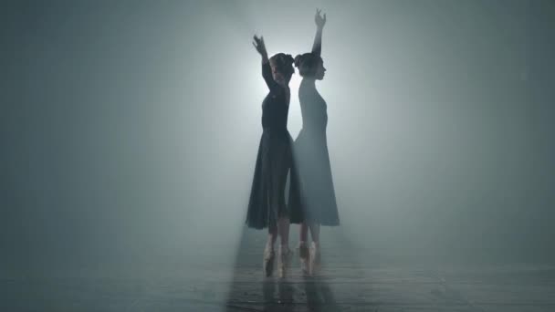 Dos elegantes bailarinas profesionales bailando en sus zapatillas de ballet puntiagudas en el centro de atención sobre fondo negro en el estudio. Bailarines de ballet muestra pas de ballet clásico . — Vídeos de Stock