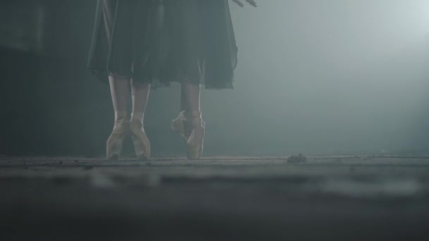 Bailarinas jóvenes no reconocidas en zapatos puntiagudos. Práctica de ballet. Hermosas piernas finas y elegantes de bailarines de ballet en la oscuridad con luz y humo en el fondo . — Vídeo de stock