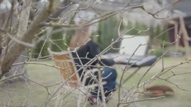 Succesvolle professionele cute pianist spelen klassieke pianomuziek op de synthesizer in de achtertuin. Echte mensen serie. — Stockvideo