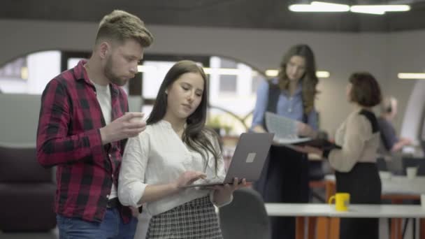 Młoda ładna kobieta i Brodaty mężczyzna omawia projekt stojący w biurze z netbook w rękach. Ich koleżanki w tle mówią o dokumentach w ich rękach. Momenty pracy — Wideo stockowe