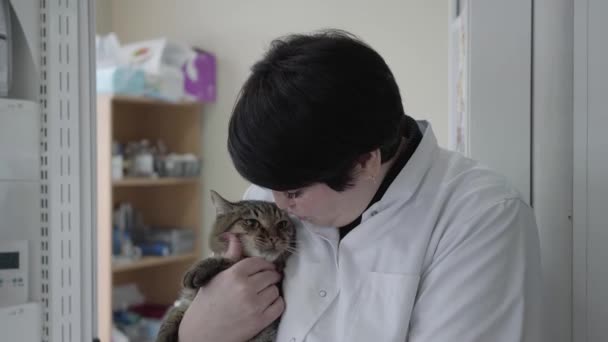 Ώριμη γυναίκα κτηνίατρος σε λευκό φόρεμα κρατώντας στα χέρια χαριτωμένο νευρικό γάτα, προσπαθεί να ηρεμήσει τα ζώα, αγγίζοντας τη μύτη του με το δάχτυλο. Το ράφι με τα ιατρικά εφόδια στο παρασκήνιο. Υγειονομική περίθαλψη κατοικίδιων — Αρχείο Βίντεο