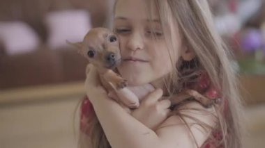 Sevimli küçük kız portre sarılma ve onu küçük kahverengi chihuahua köpek yakın öpüşme. Çocuk evcil hayvanıyla vakit geçiriyor. Mutlu çocukluk