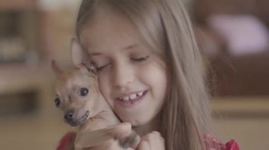 Portre küçük oldukça mutlu kız sevimli bir chihuahua köpek yavrusu tutarak ve oturma odasında onunla oynarken. Yakın çekim