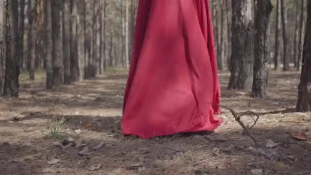 Belle fille gracieuse dans une robe rouge se promène dans la forêt de pins. Jolie jeune femme marche entre les pins .