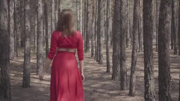 Jolie fille gracieuse dans une robe rouge se promène dans la forêt de pins. Jolie jeune femme marche entre les pins .