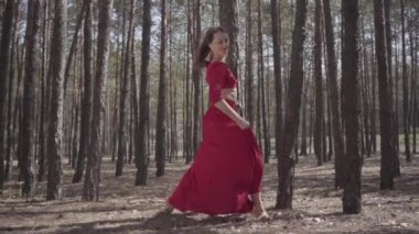 Ormanda dans kırmızı elbiseli esnek sevimli kadın. Ağaca dokunan güzel bir kadın. Kadın hassasiyeti ve uyum yaşam kavramı. Muhteşem etkileyici bir manzara. Yavaş çekim