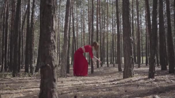 Профессиональная молодая женщина в красном платье танцует в лесу. Красивая леди трогает дерево. Концепция женской нежности и гармонии жизни. Спектакльный впечатляющий вид. Медленное движение — стоковое видео
