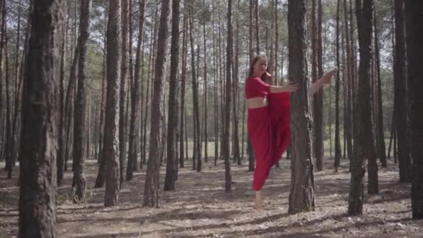 Jeune femme souple en robe rouge dansant dans la forêt. Belle dame touchant un arbre. Concept de tendresse féminine et de vie harmonieuse. Vue impressionnante spectaculaire. Mouvement lent 